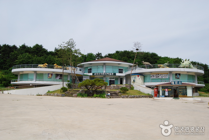 금강산자연사박물관