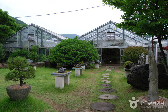 거제자연예술랜드