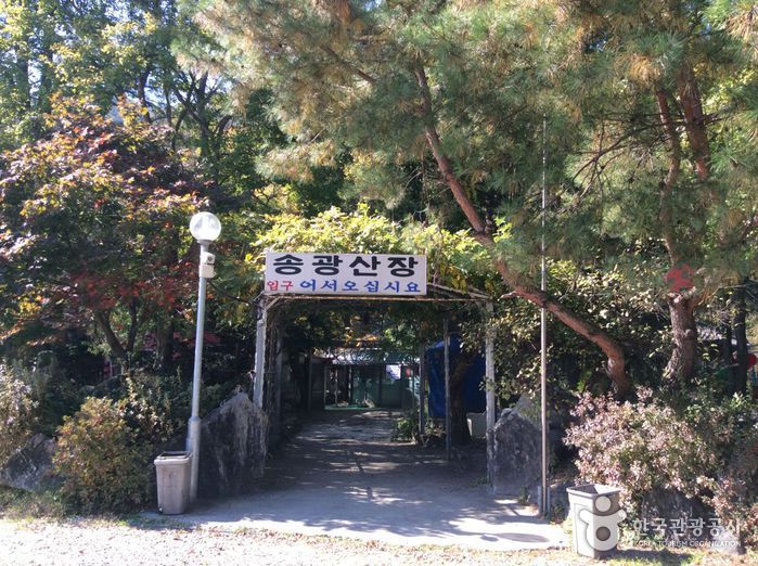 송광산장