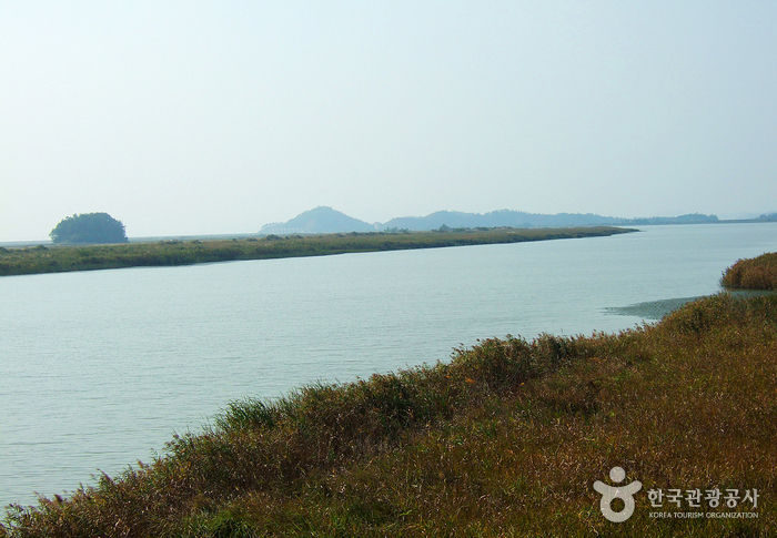 고천암호(철새도래지)