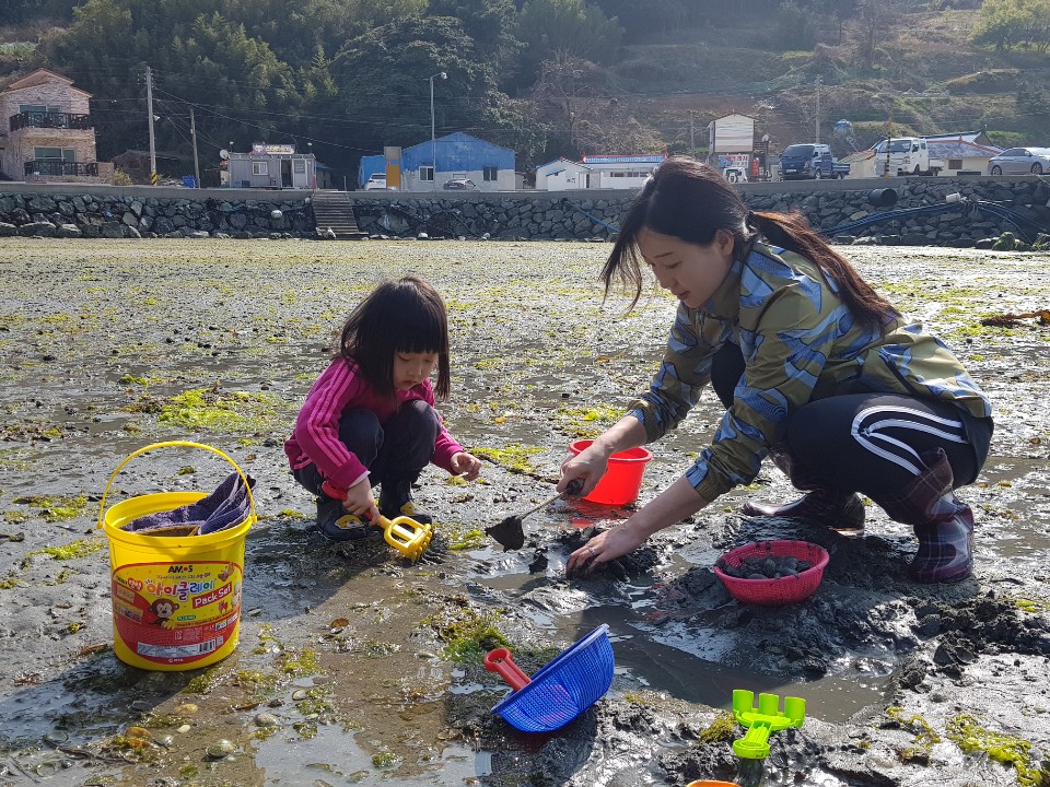 돌문어 잡기 체험