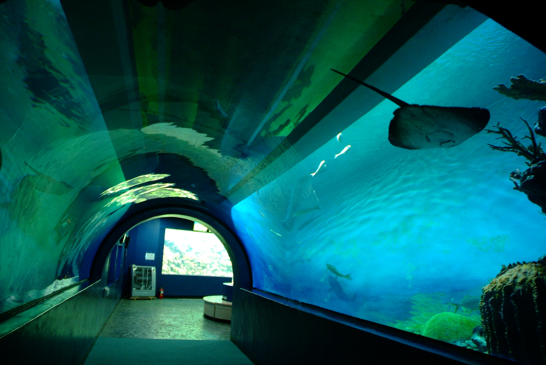 화진포 해양 박물관