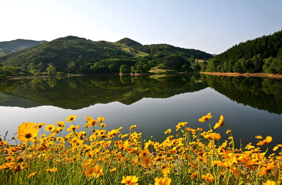 용현저수지(용유지)