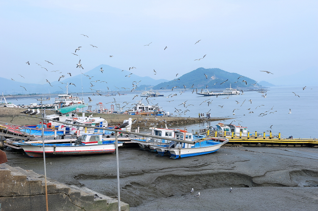 외포항젓갈수산시장
