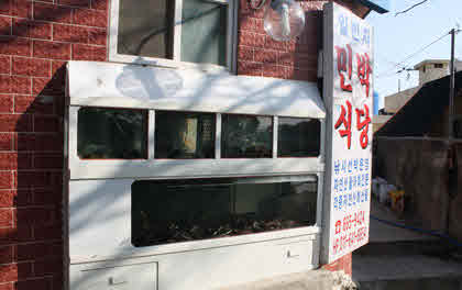 일번지민박식당