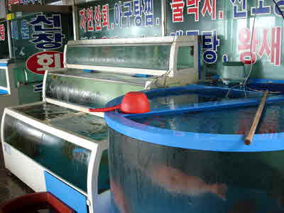 선창 회 수산