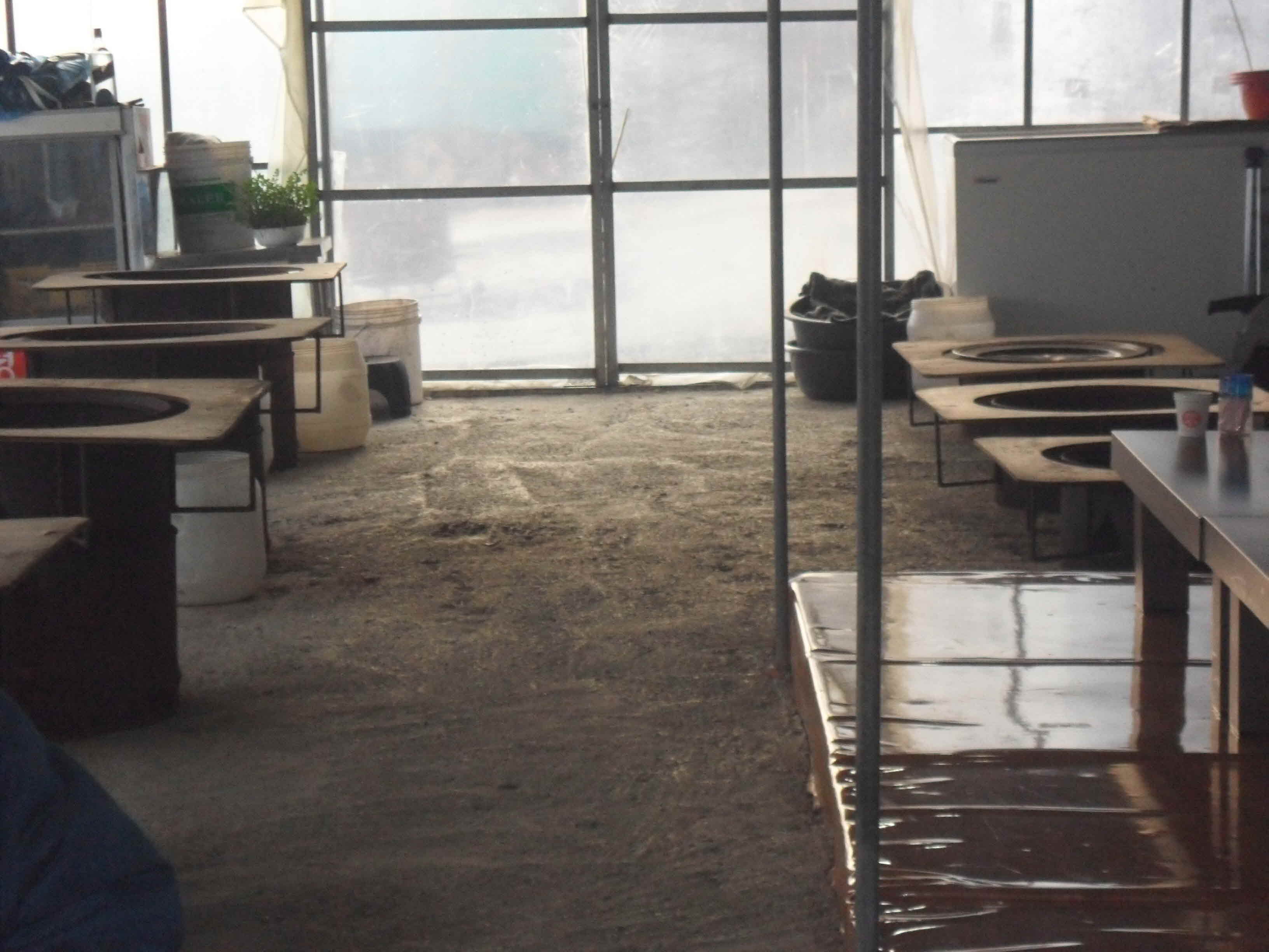 하우스 먹거리촌