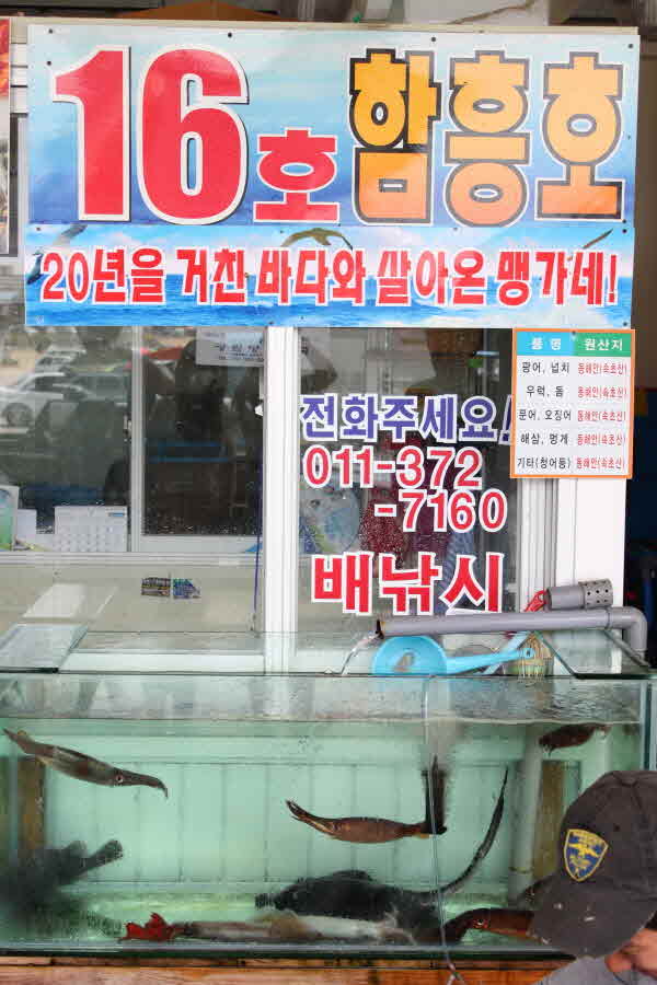 16호 함흥호