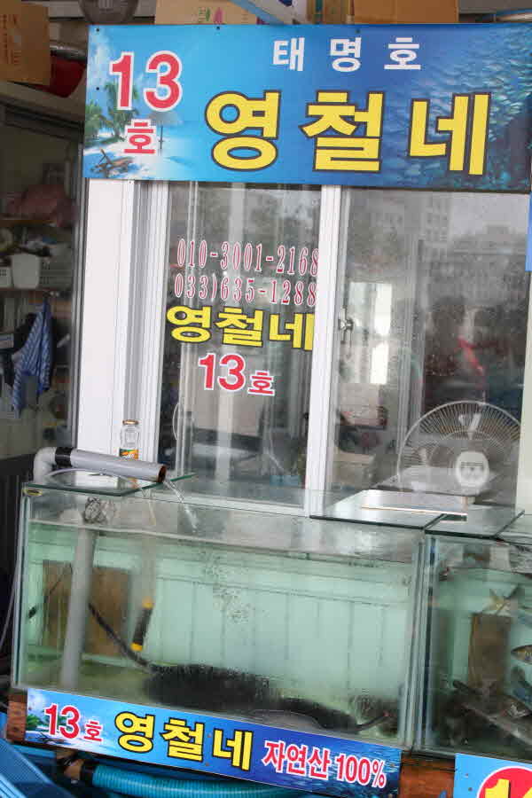 13호 영철네
