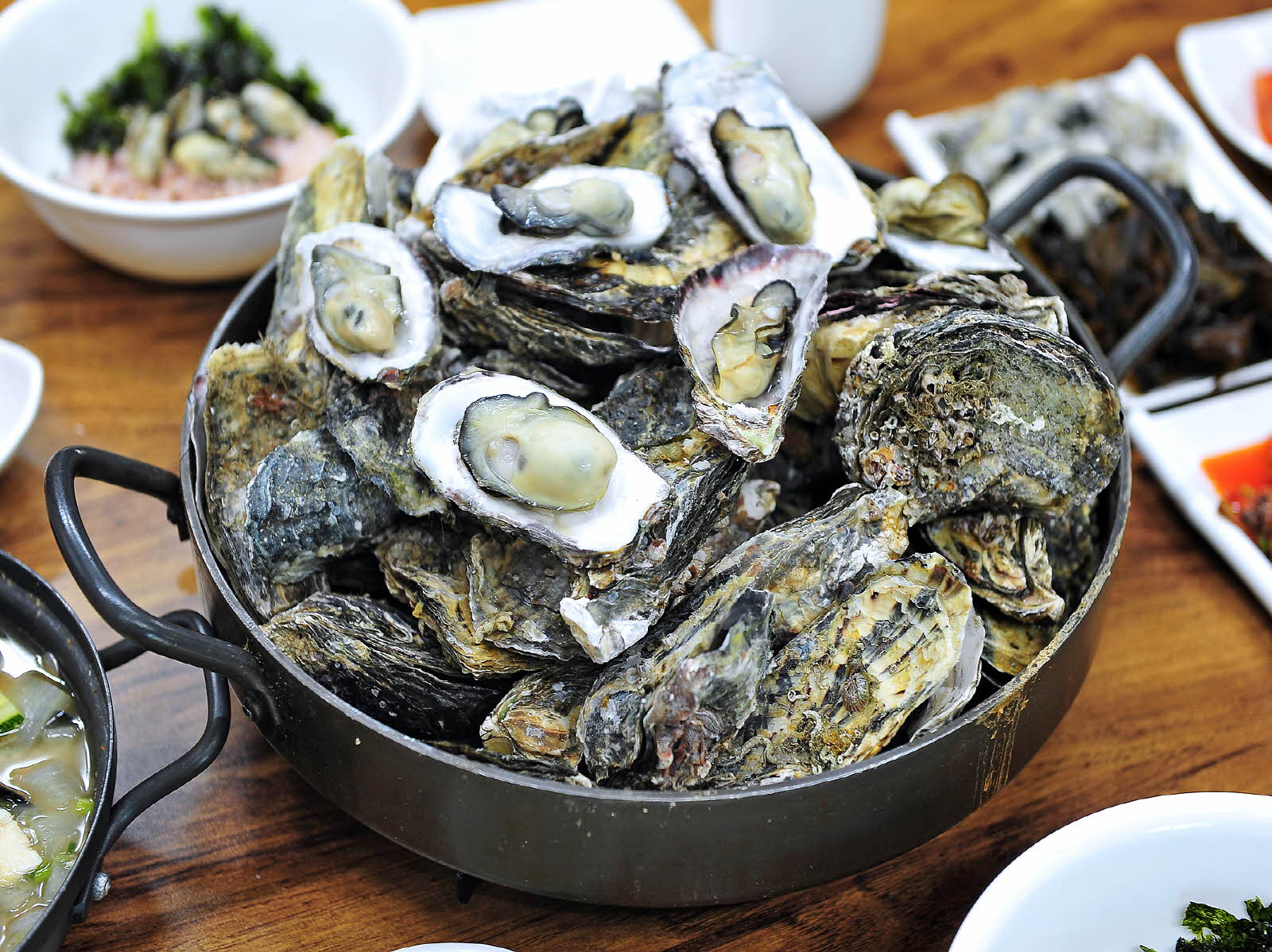 통영의 물텀벙 굴마을