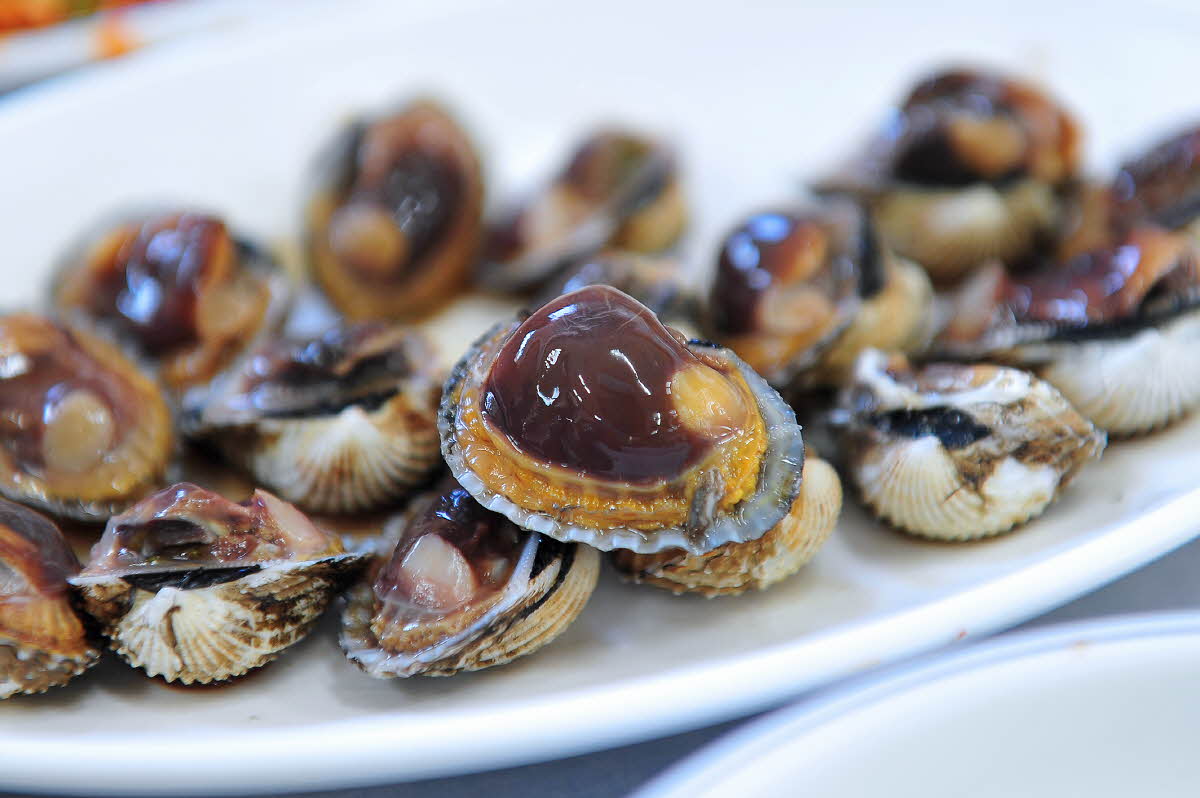 보성 원조꼬막회관