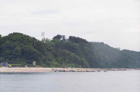 국화리해수욕장