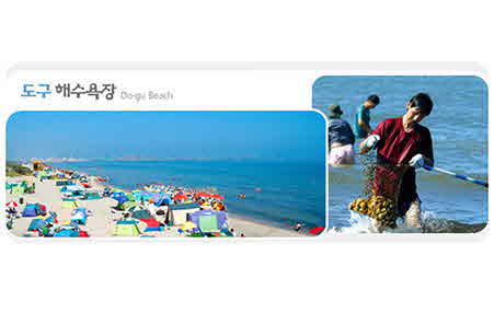도구해수욕장