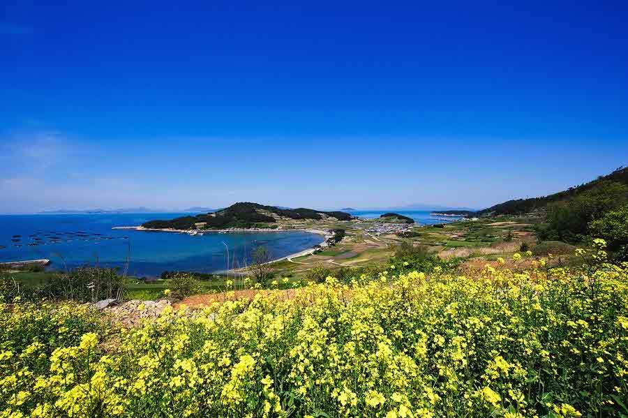 지리청송해변