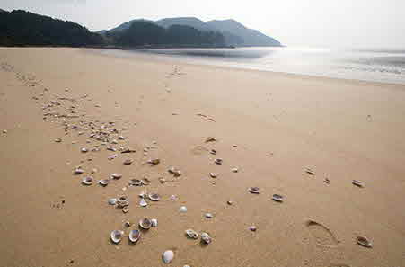 떼뿌리해수욕장