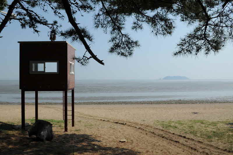 장봉도한들해수욕장