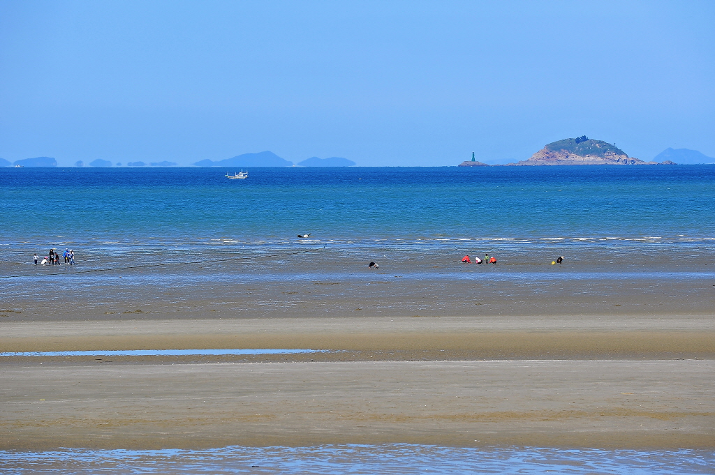 신두리해수욕장 (태안군)