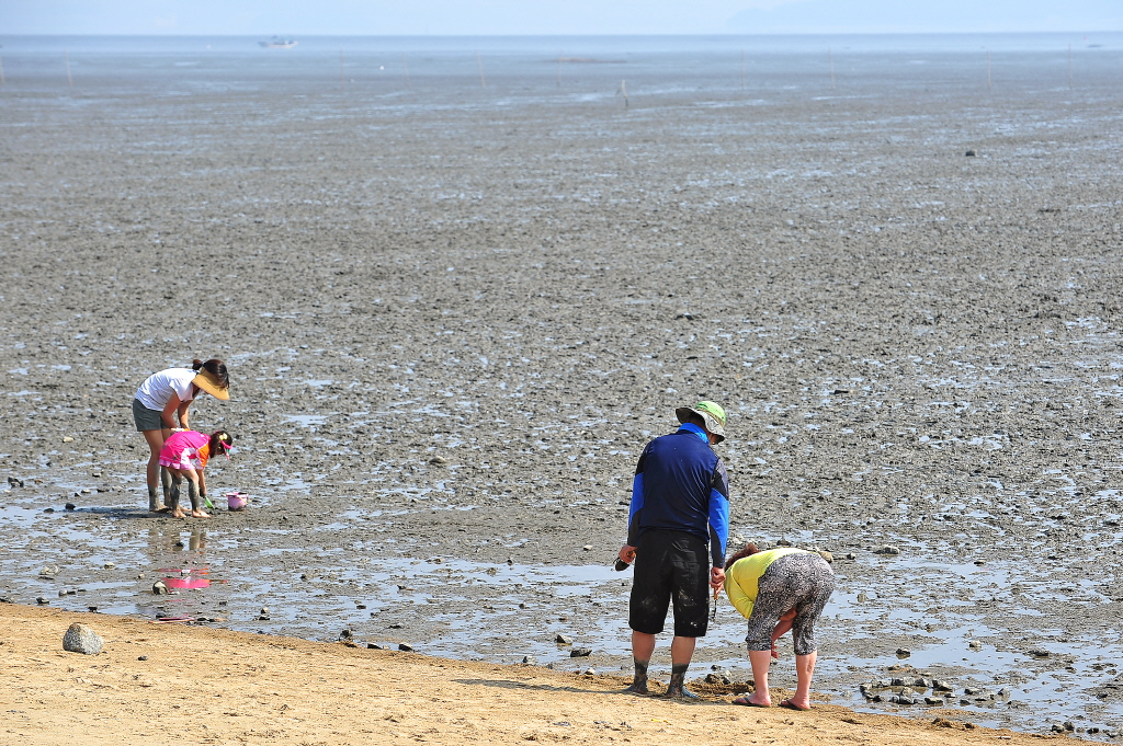 동막해수욕장 (동막해변)