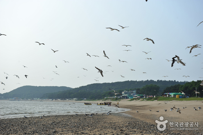 영종도 마시안해변