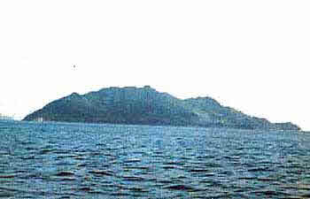 대모도