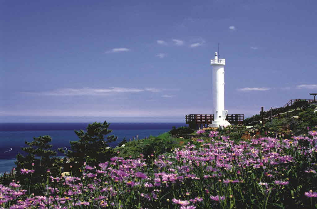 마라도