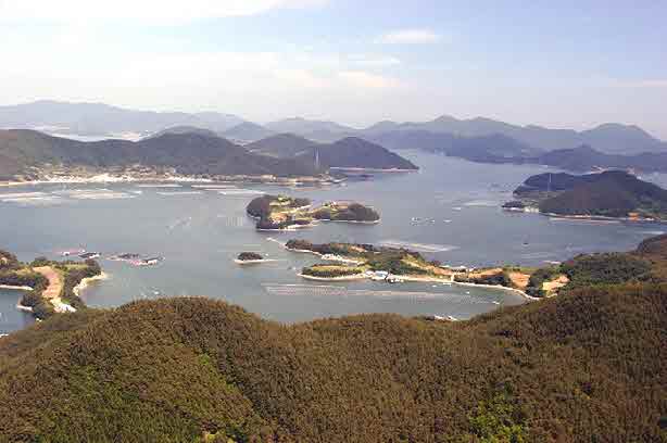 비산도