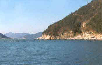 상화도
