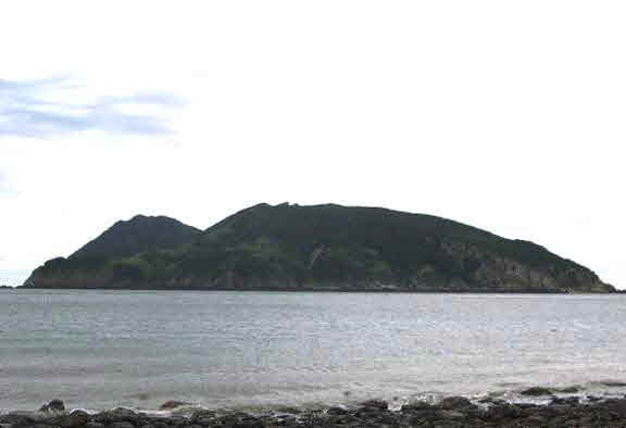 선미도
