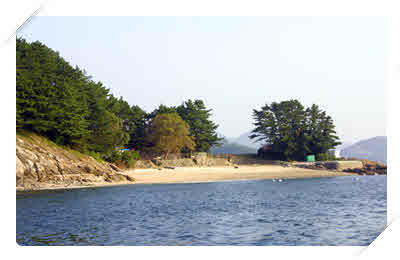 죽도