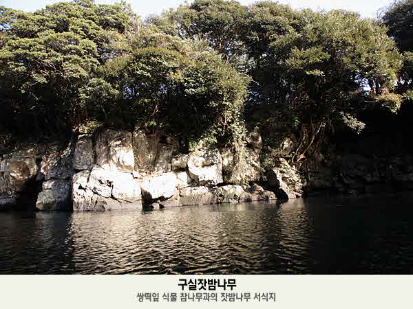 쇠소깍수상레저