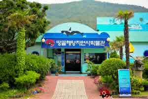 땅끝해양자연사박물관