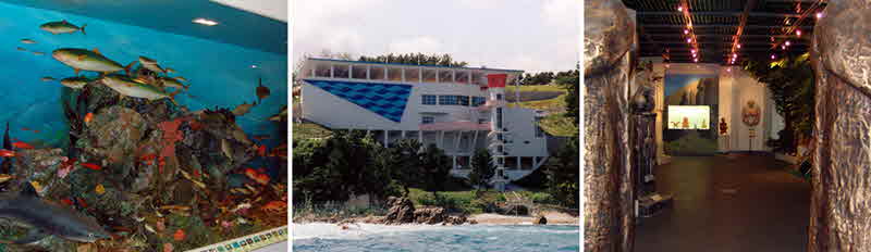 삼척어촌민속전시관
