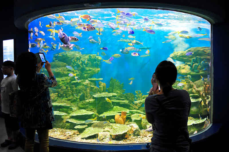 아쿠아플라넷 여수