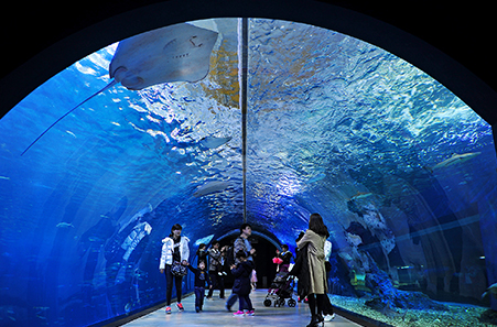 아쿠아플라넷 제주