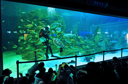 울진 아쿠아리움