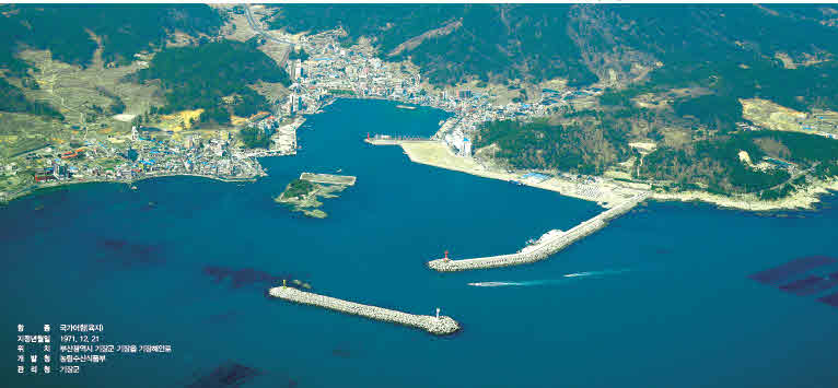 대변항