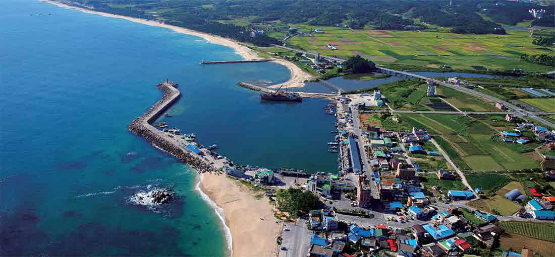 사천진항