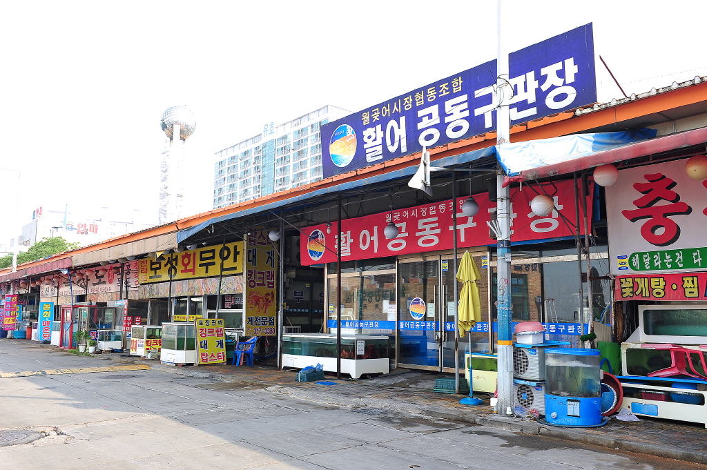 월곶항(월곶포구)