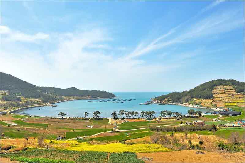 청산도 슬로길 1코스