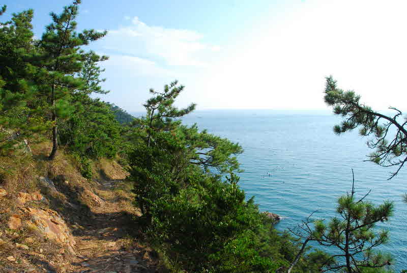 청산도 슬로길 4코스
