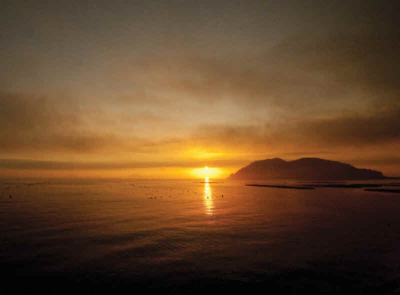 청산도 슬로길 8코스