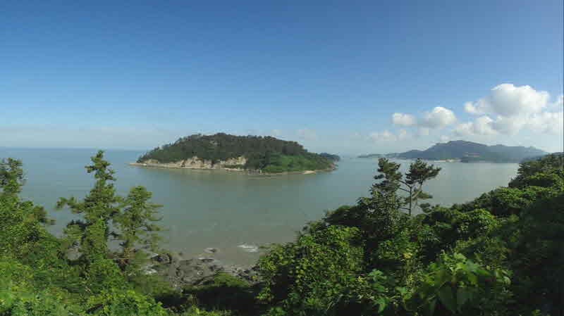 백수해안화당화길