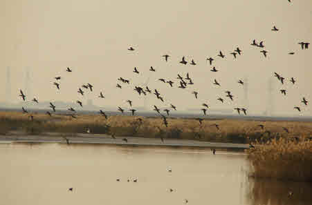 대부해솔길 3코스
