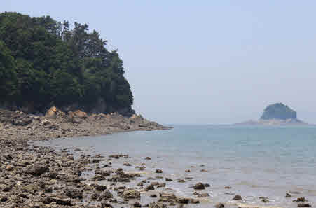 대부해솔길 4코스