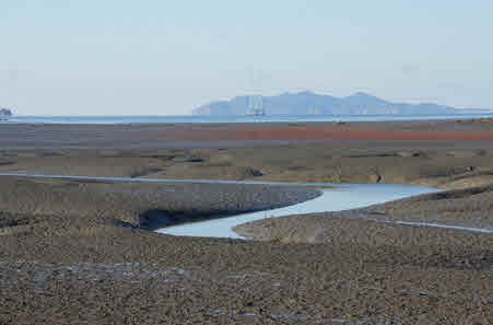 대부해솔길 6코스