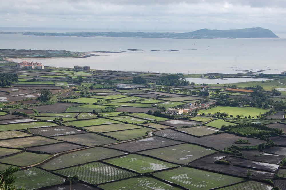 제주 올레길 1코스