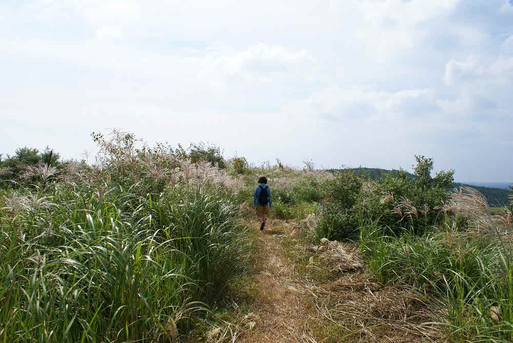 제주 올레길 3코스