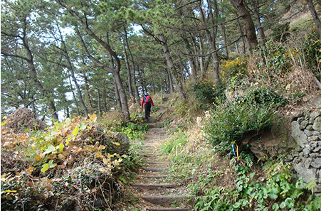 제주 올레길 6코스