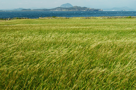 제주 올레길 10-1코스