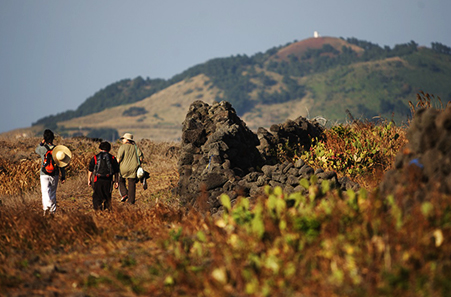 제주 올레길 14코스
